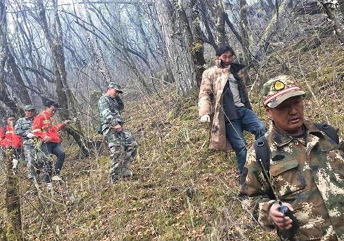 森林火災(zāi) 森林火災(zāi)